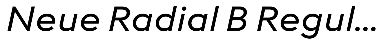 Neue Radial B Regular Italic